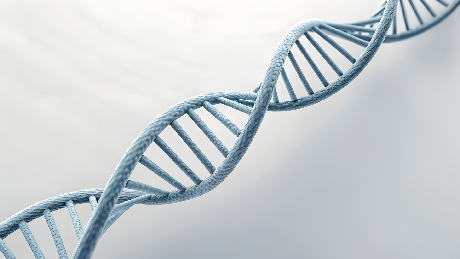 what does a longevity clinic actually do?